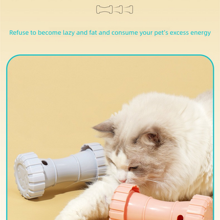 Pet Care Cartoz.
