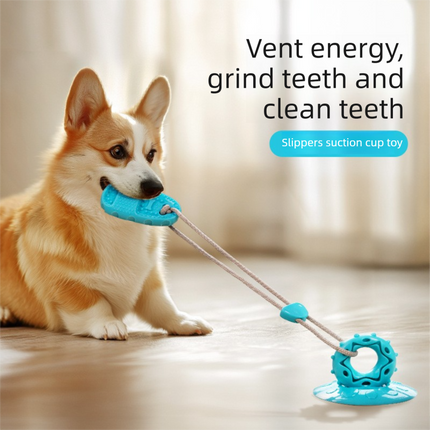 Pet Care.