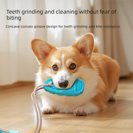Pet Care.