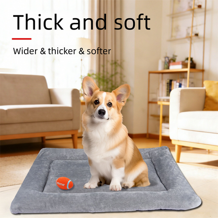 Pet Care Cartoz.