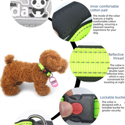 Pet Care Cartoz.
