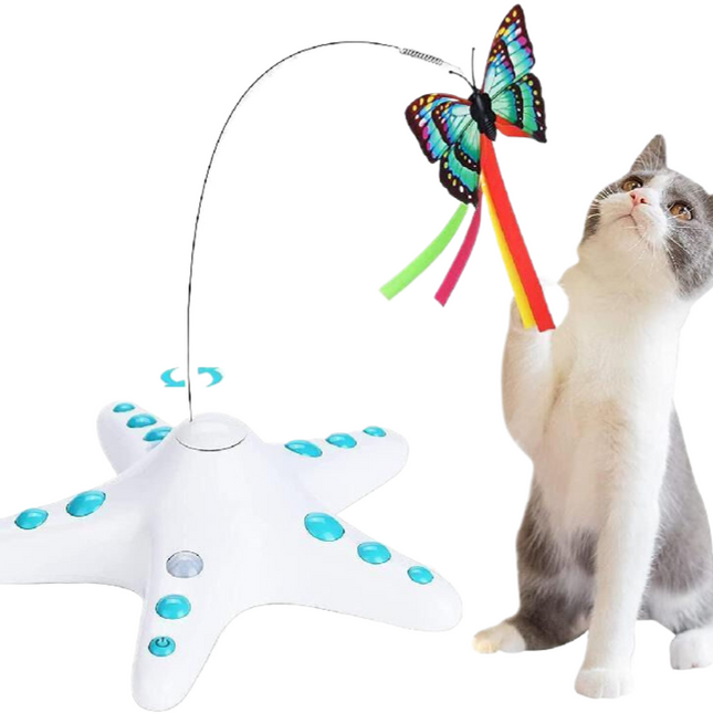Pet Care.