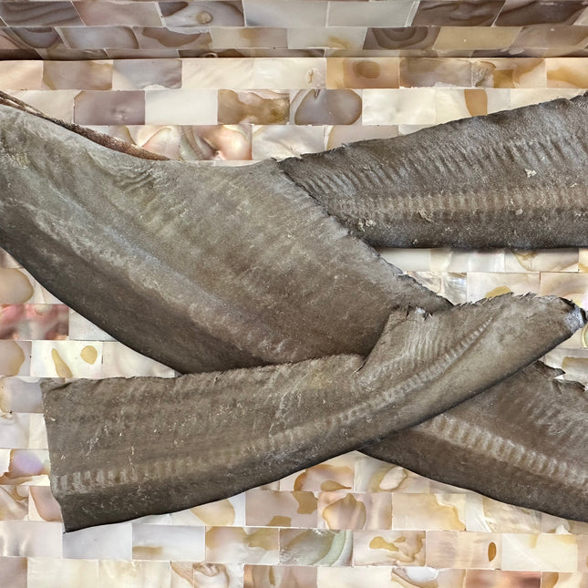 1x Just Shark Tails.