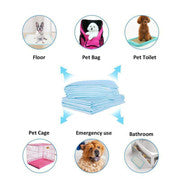 200pcs Dog Absorbent Training Pad 60 x 60 cm.