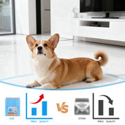 200pcs Dog Absorbent Training Pad 60 x 60 cm.