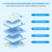 200pcs Dog Absorbent Training Pad 60 x 60 cm.
