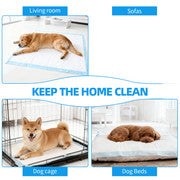 200pcs Dog Absorbent Training Pad 60 x 60 cm.