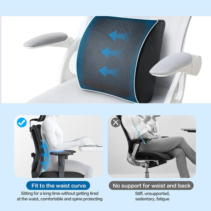 Bamboo Memory Foam Lumbar Support Cushion.