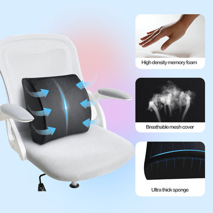 2 Pack Memory Foam Lumbar Support Cushion with Black Cover.