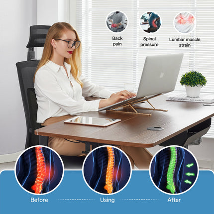 2 Pack Memory Foam Lumbar Support Cushion with Black Cover.