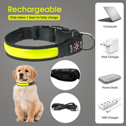 Pet Care.