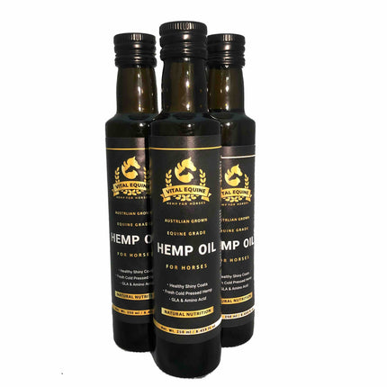Premium Australian Equine Hemp Oil – Natural Nutritional Support for Horses.