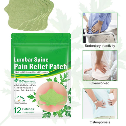 Flexiback Lumbar Spine Pain Relief Patch, Heat Long-Lasting (36pcs/3box).
