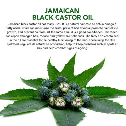 Black Castor Oil (2.02 fl oz), Jamaican Organic Regrowth Treatments.