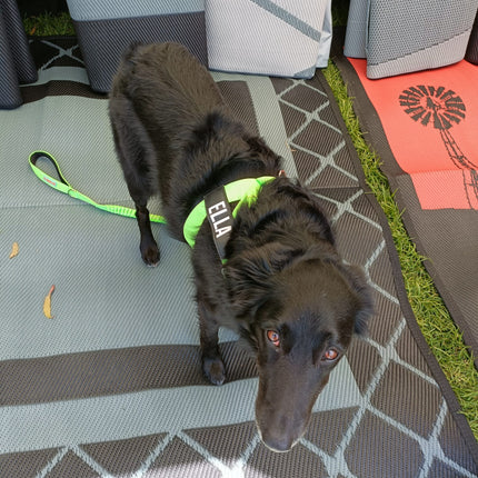 Alfresco 1.8m x 1.8m Recycled Poly Camping Mat.