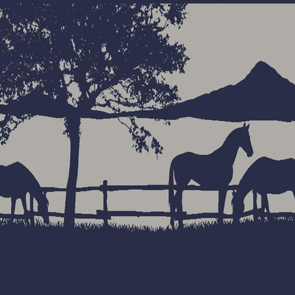 Ranch 5m x 2.4m recycled poly mat.
