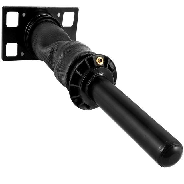 3595977C96 Cab Shock Absorber for International Prostar 2008.