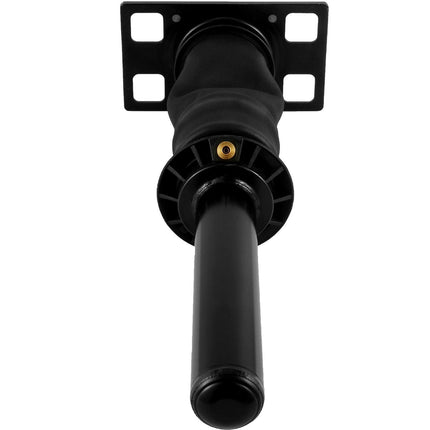3595977C96 Cab Shock Absorber for International Prostar 2008.