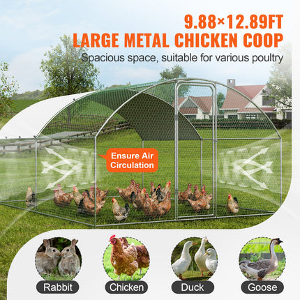 Pet Care Cartoz.