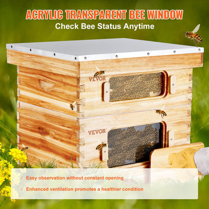 Bee Hive 20 Frame Bee Hives Starter Kit, Beeswax Coated Cedar Wood, 1 Deep + 1 Medium Bee Boxes Langstroth Beehive Kit, Transparent Acrylic Windows with Foundations for Beginners Pro Beekeepers.