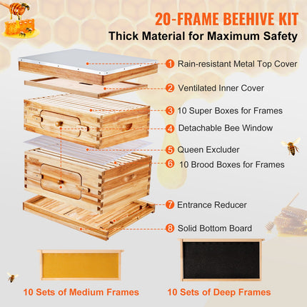 Bee Hive 20 Frame Bee Hives Starter Kit, Beeswax Coated Cedar Wood, 1 Deep + 1 Medium Bee Boxes Langstroth Beehive Kit, Transparent Acrylic Windows with Foundations for Beginners Pro Beekeepers.