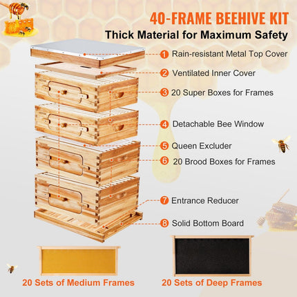 Bee Hive 40 Frame Bee Hives Starter Kit, Beeswax Coated Cedar Wood, 2 Deep + 2 Medium Bee Boxes Langstroth Beehive Kit, Transparent Acrylic Windows with Foundations for Beginners Pro Beekeepers.