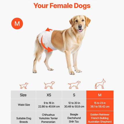 Disposable Dog Diapers, Super Absorbent Female Dog Diapers, 360° Leak-Proof Female Doggy Pet Diaper with Wetness Indicator for Heat Period, Training, Incontinence - M, 144 Count (2 Packs of 72).