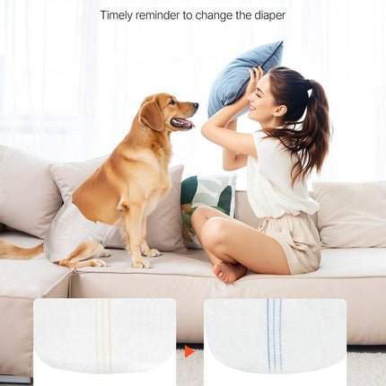 Disposable Dog Diapers, Super Absorbent Female Dog Diapers, 360° Leak-Proof Female Doggy Pet Diaper with Wetness Indicator for Heat Period, Training, Incontinence - M, 144 Count (2 Packs of 72).
