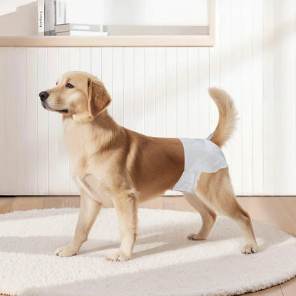 Disposable Dog Diapers, Super Absorbent Female Dog Diapers, 360° Leak-Proof Female Doggy Pet Diaper with Wetness Indicator for Heat Period, Training, Incontinence - M, 144 Count (2 Packs of 72).