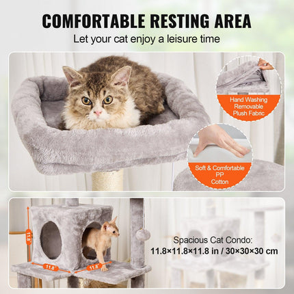 Pet Care Cartoz.