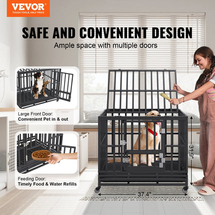 Pet Care Cartoz.