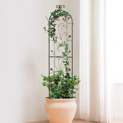 Home & Garden Cartoz.