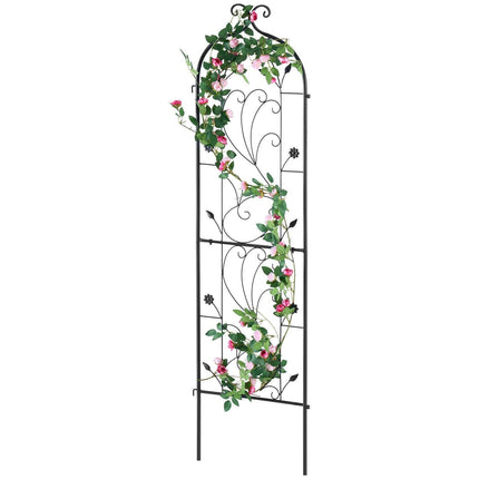 Home & Garden Cartoz.