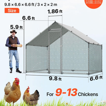 Pet Care Cartoz.