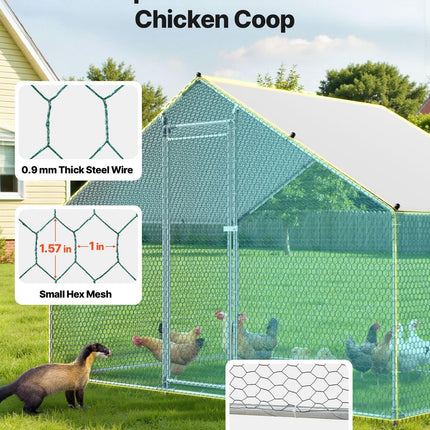 Pet Care Cartoz.