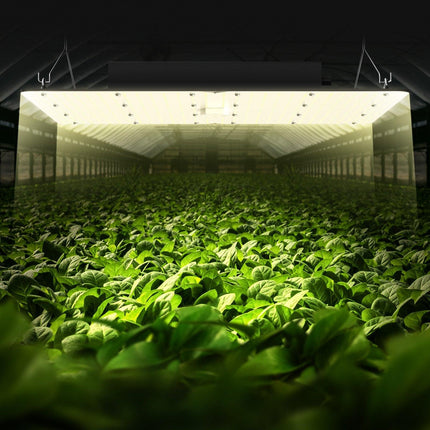LED Grow Light, 400W Full Spectrum Dimmable, High Yield Samsung 2B1B Diodes Growing Lamp for Indoor Plants Seedling Veg and Bloom Greenhouse Growing, Daisy Chain Driver for 4x4/5x5 ft Grow Tent.