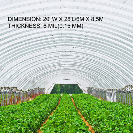 Greenhouse Film, Greenhouse Polyethylene Film 20x28 ft Greenhouse Plastic.