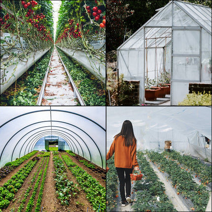 Greenhouse Film, Greenhouse Polyethylene Film 20x28 ft Greenhouse Plastic.