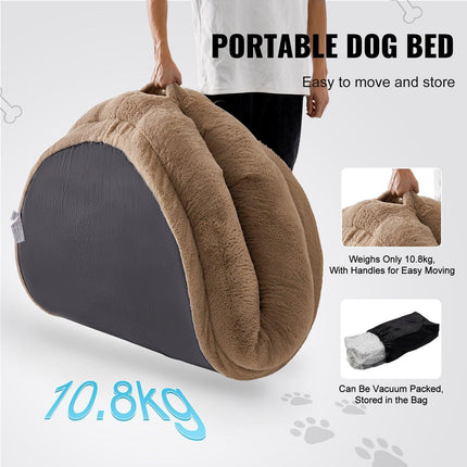Pet Care Cartoz.