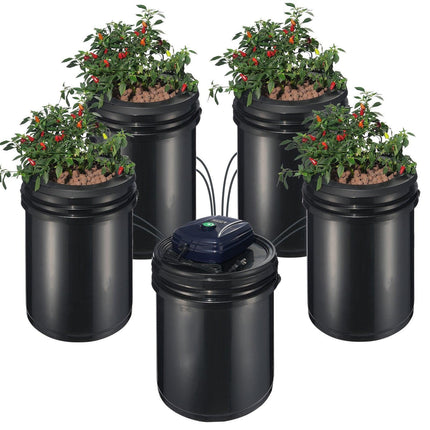 RDWC Hydroponics Grow System, Hydroponic Growing Kit with Top Drip, Recirculating Deep Water Culture 4 Buckles and 1 Reservoir, with Air Pump and Water Level Device for Leafy Vegetables.