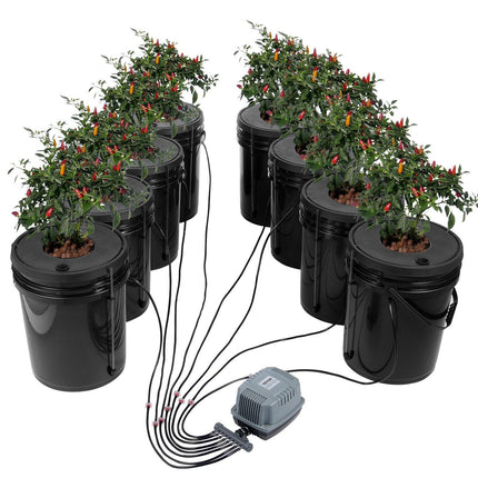 DWC Hydroponics Grow System Deep Water Culture 8 Buckets with Air Pump.