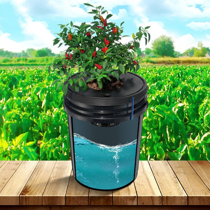 DWC Hydroponics Grow System Deep Water Culture 8 Buckets with Air Pump.