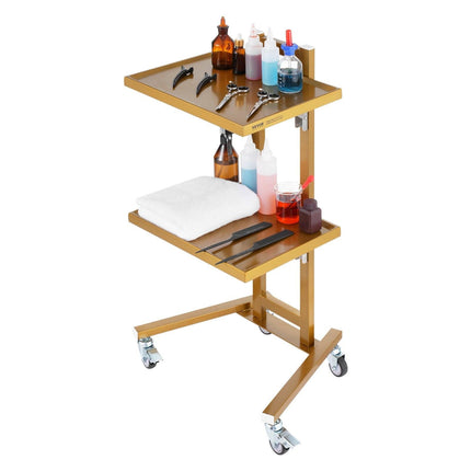 2 Tiers Stainless Steel Lab Carts with 2 Trays & 4 Silent Wheels Golden.