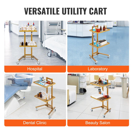 2 Tiers Stainless Steel Lab Carts with 2 Trays & 4 Silent Wheels Golden.