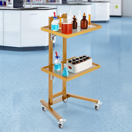 2 Tiers Stainless Steel Lab Carts with 2 Trays & 4 Silent Wheels Golden.