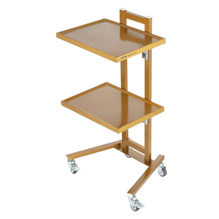 2 Tiers Stainless Steel Lab Carts with 2 Trays & 4 Silent Wheels Golden.