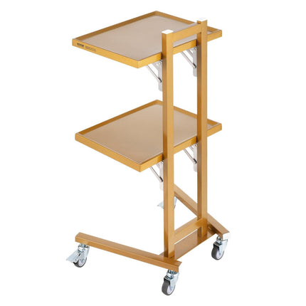 2 Tiers Stainless Steel Lab Carts with 2 Trays & 4 Silent Wheels Golden.