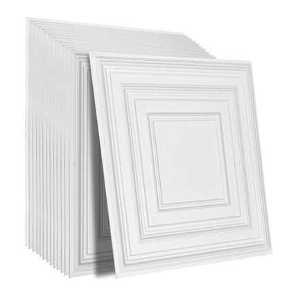 Ceiling Tiles 12-Pack 24 x 24 in PVC Easy Installation White Peg Pattern.