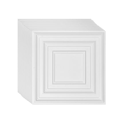 Ceiling Tiles 12-Pack 24 x 24 in PVC Easy Installation White Peg Pattern.
