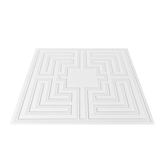Ceiling Tiles 12-Pack 24 x 24 in PVC Easy Installation White Echo Pattern.